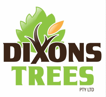 dixons trees 450pxw